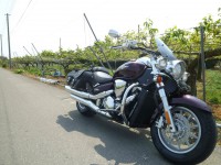 /album/%e3%83%95%e3%82%a9%e3%83%88%e3%82%ae%e3%83%a3%e3%83%a9%e3%83%aa%e3%83%bc/p1040505-jpg/