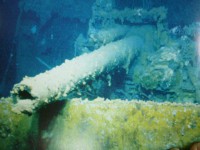 /album/%e3%83%95%e3%82%a9%e3%83%88%e3%82%ae%e3%83%a3%e3%83%a9%e3%83%aa%e3%83%bc/p1040302-jpg/