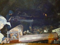 /album/%e3%83%95%e3%82%a9%e3%83%88%e3%82%ae%e3%83%a3%e3%83%a9%e3%83%aa%e3%83%bc/p1040601-jpg/