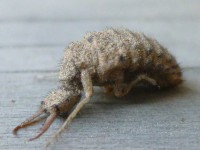 /album/%e3%83%95%e3%82%a9%e3%83%88%e3%82%ae%e3%83%a3%e3%83%a9%e3%83%aa%e3%83%bc/p1040778-jpg1/