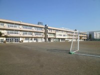 /album/%e3%83%95%e3%82%a9%e3%83%88%e3%82%ae%e3%83%a3%e3%83%a9%e3%83%aa%e3%83%bc/p1030663-jpg/