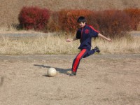 /album/%e3%83%95%e3%82%a9%e3%83%88%e3%82%ae%e3%83%a3%e3%83%a9%e3%83%aa%e3%83%bc/p1030669-jpg/