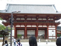 /album/%e3%83%95%e3%82%a9%e3%83%88%e3%82%ae%e3%83%a3%e3%83%a9%e3%83%aa%e3%83%bc/p1050234-jpg/