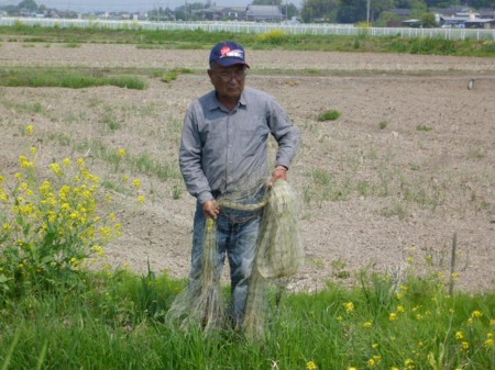 鯉を狙うおじさん