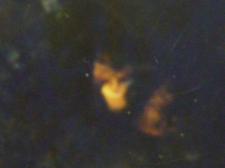 心霊写真でしたー！